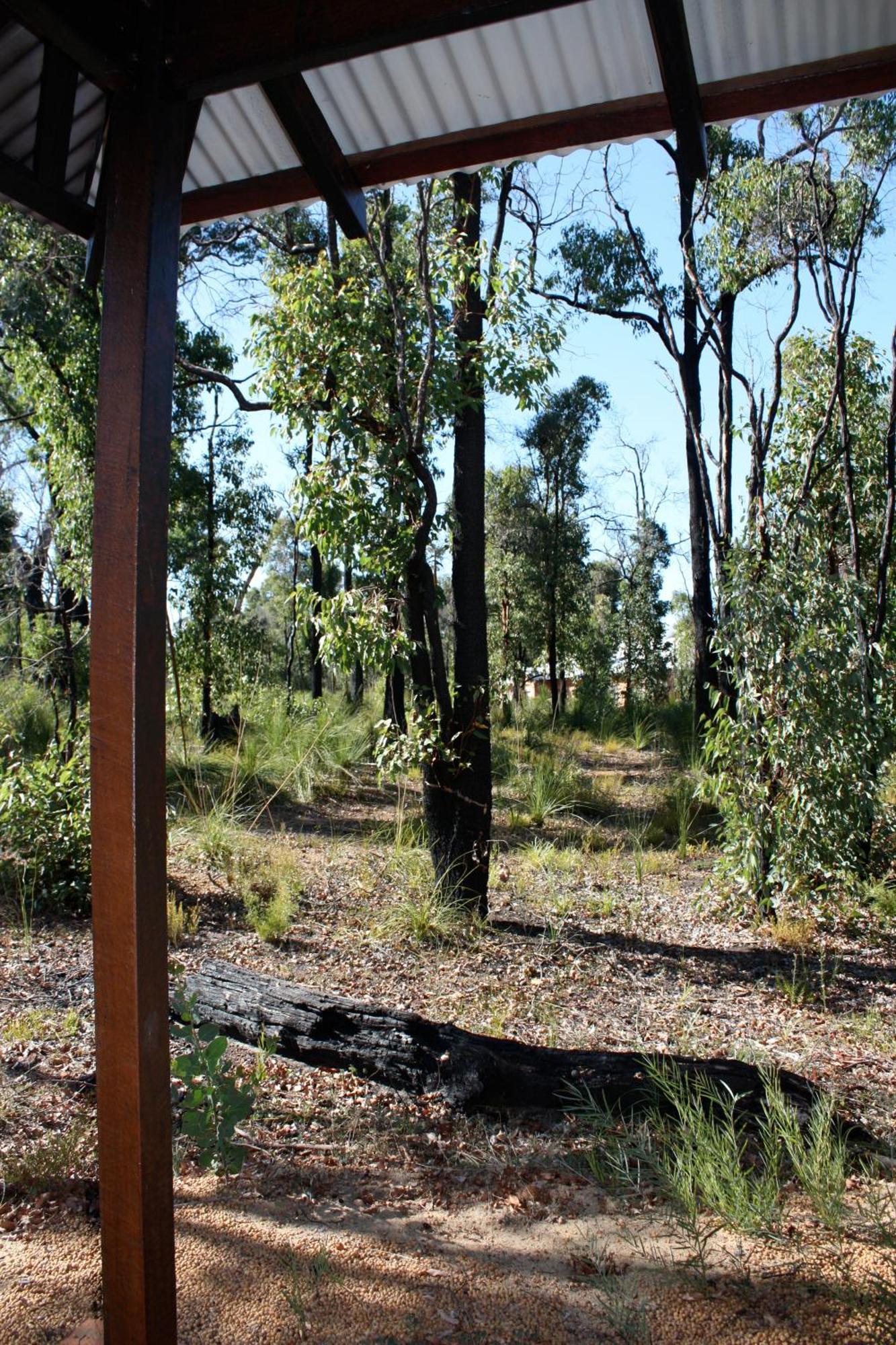 Chalets On Stoneville Redcliffe Exterior photo